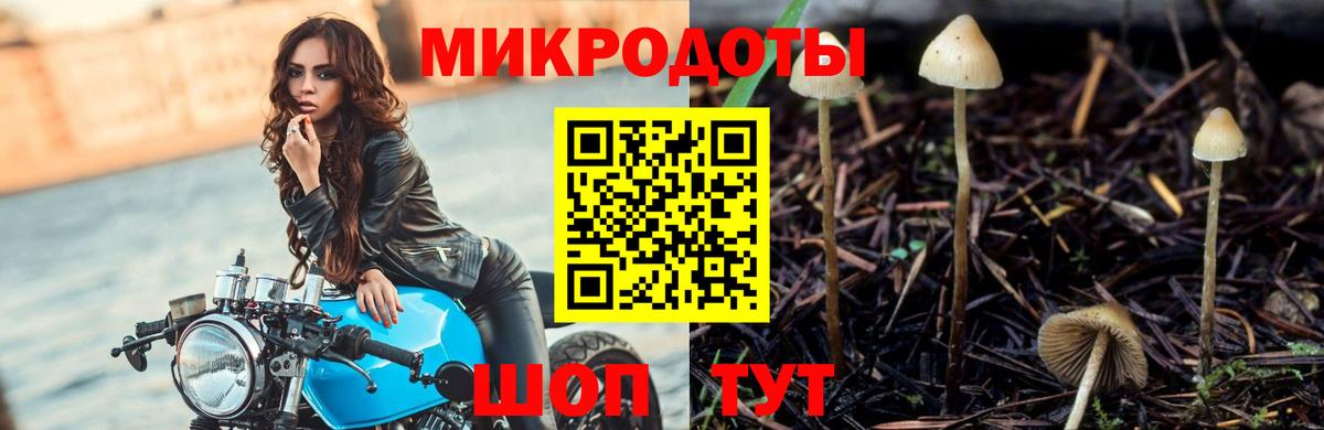 Галлюциногенные грибы мухоморы  Вход с VPN  Галлюциногенные грибы MAGIC MUSHROOMS  Элиста 
